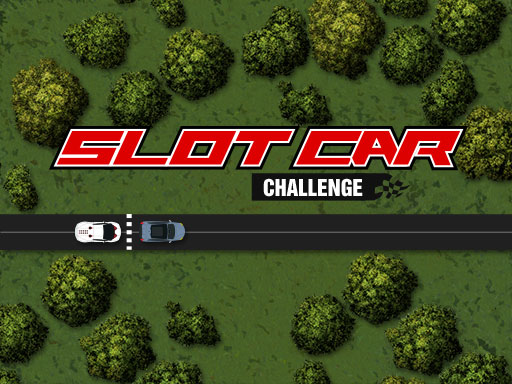 Slot Car Challenge